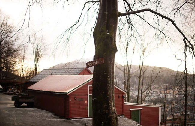 Bergen Guided Walking Tour - Foto 6