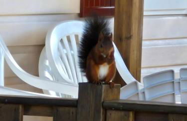 MH 4 pers Torreilles plage - Foto 37