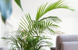 Villa Terra - Photo 51