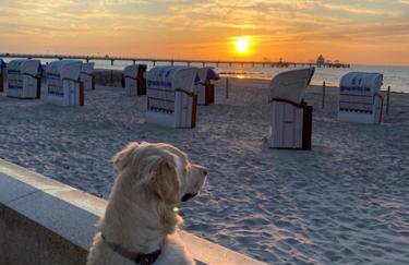 Küstenbude Glück - Photo 28