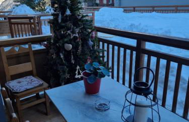 ski au pied, 3ch 2Sdb Garage Terrasse - Foto 15