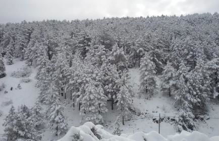 Apartamentos La Réunion - Foto 19