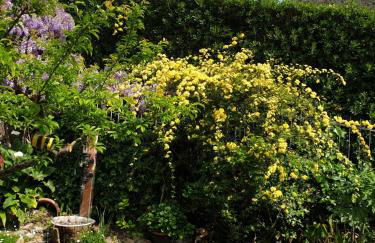 Creativ hause - Foto 23