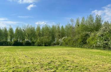 Lilac Cottage - Foto 5