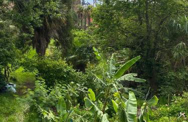 Casa-Stella-Azores - Foto 23