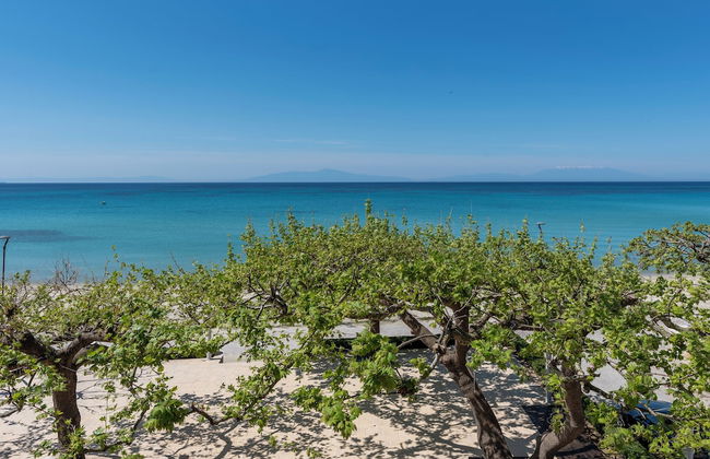 Alkioni By The Sea - Photo 66