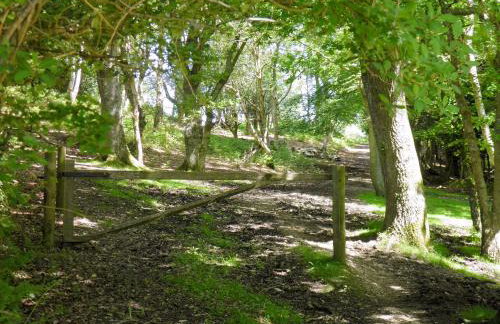 Weavers Lodge - Foto 17