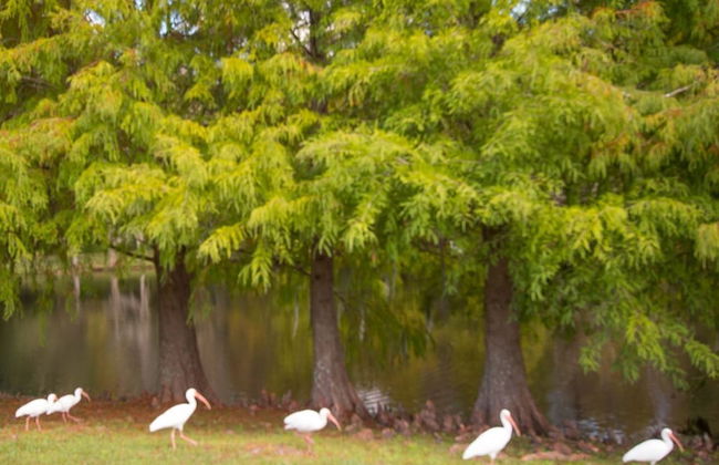 3 Bed 258 - Photo 18