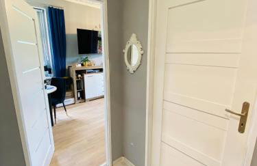 Apartament Górski centrum - Foto 9