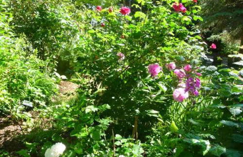 Exklusive Wellnessoase Shambala - Photo 29