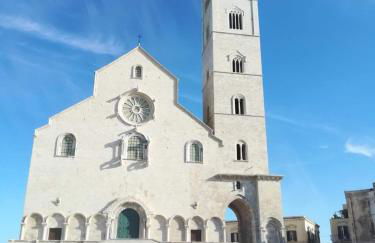 Pangea - Asia - Foto 32