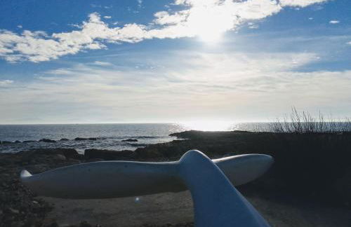 La locomotive - 400 m de la plage - Foto 12