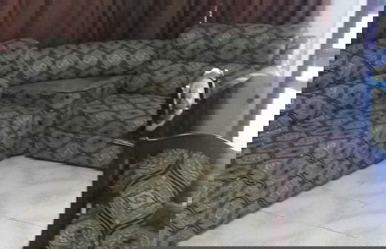 Two Bedroom House HHK-18-2 - Photo 4