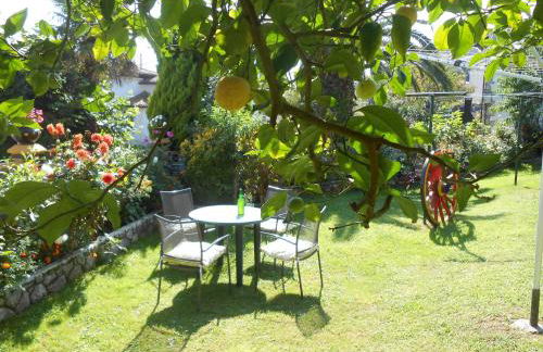 Apartamentos Carolina - Foto 6