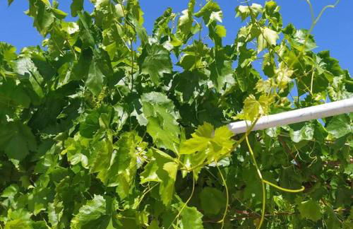 Casa do Forno Évora retreat - Foto 42