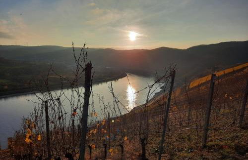 Moderne Ferienwohnung "Am Wald 2", ruhige Lage, viel Komfort, grosse Terrasse, - Foto 21