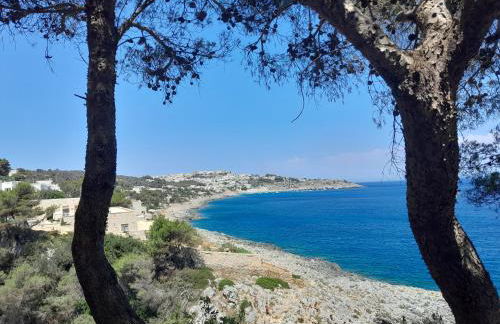 Il Gelso Bianco - Foto 34