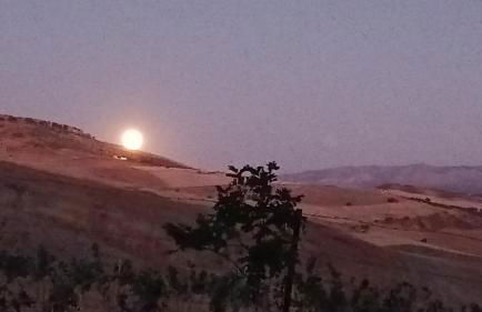 Nature Lovers Escape on an Eco-friendly Vineyard - Foto 41