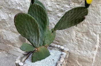 Casa Pagano - Foto 14