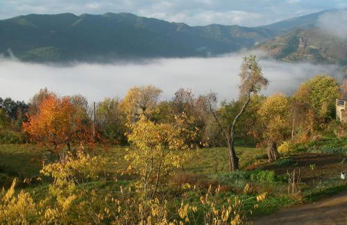 Casa Pirinea Ordesa - Foto 67