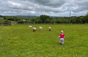 Hele Bay Cottage - Foto 52
