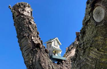 Ferienwohnungen bei der Purpurbuche - Foto 27