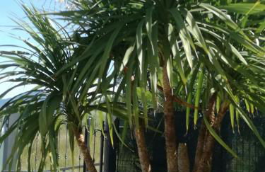 Residenza Orchidee - Foto 7