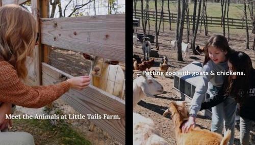 The Mighty Sycamore Treehouse at Treetop Escapes - Foto 3