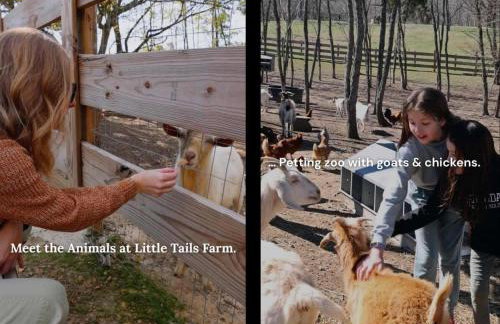 The Lumber Jack Pine Treehouse at Treetop Escapes - Foto 60