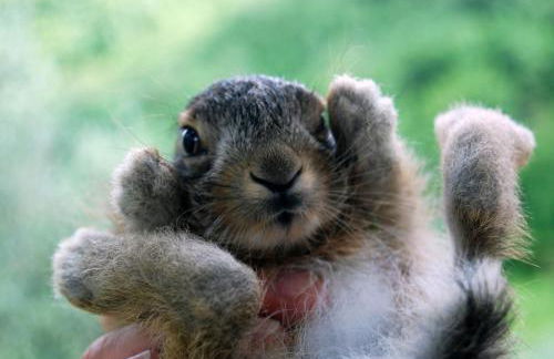 Casale degli ulivi - Foto 37