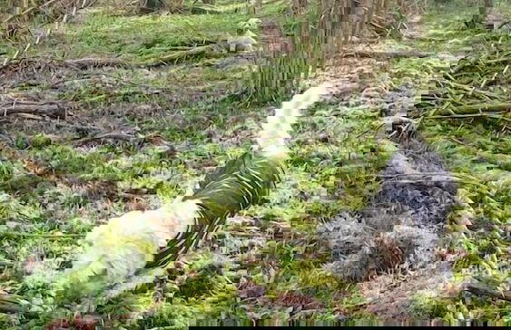 Stylish Town Centre Apartments - Photo 78