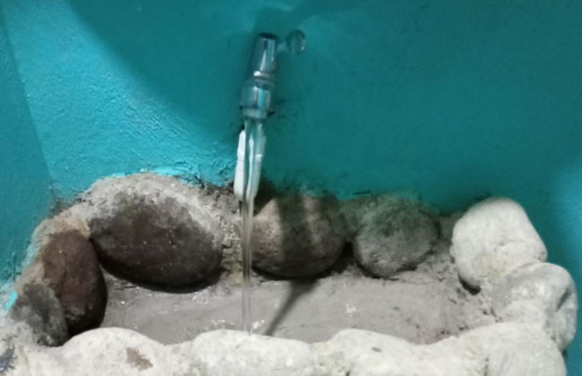 Berkey's Jungle Paradise - Photo 33