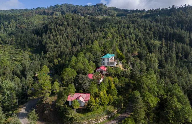 Nirvana Dhar Nature Resort - Foto 15