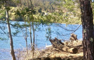 Canto do Zêzere, Sertã, Dornes, Castelo do Bode - Foto 42