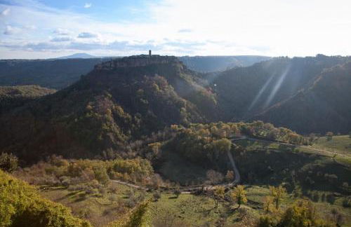 Podere Porcino - Foto 18