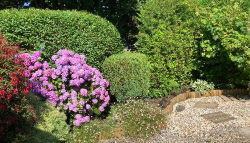 Cosy Cottage with Quiet Garden - Foto 3, Garden view