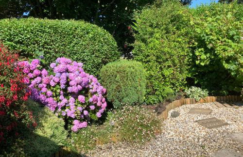 Cosy Cottage with Quiet Garden - Photo 3