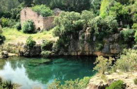 LA CASA AZUL de Anna - Photo 24