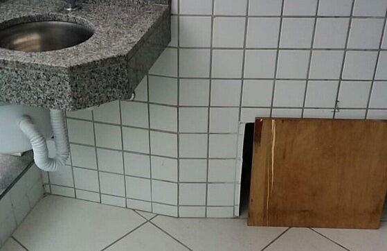 Apartamento Caprichoso nos Ingleses - Photo 15