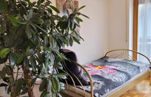 Appartement im Schwarzwaldhaus - Foto 14