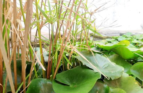 Sweet Dreams - Foto 19