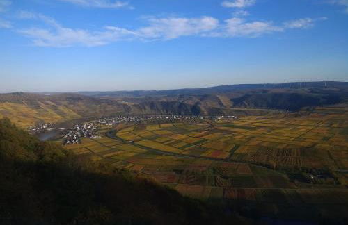 Ferienwohnungen Felten in Minheim - Foto 47