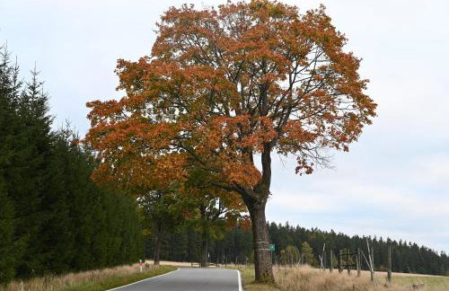 Strażnica Pod Lasem - Foto 59