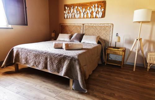 Garden Cactus - Foto 3