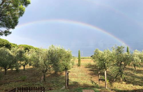 Il Podere di Sole - Foto 13