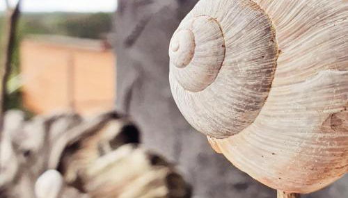 WEINBERG 16 - Foto 3