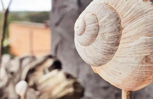 WEINBERG 16 - Foto 3