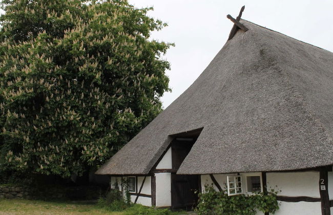 Ferienwohnung in Reddelich for 4 Personen - Foto 11