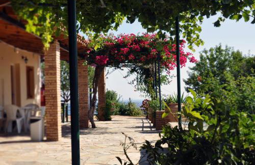 Panorama Apartments updated with infinity pool - Foto 37