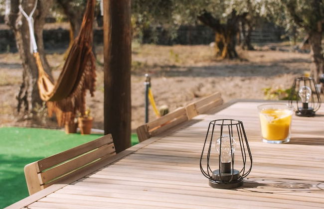 Chão do Ribeirinho - Photo 35